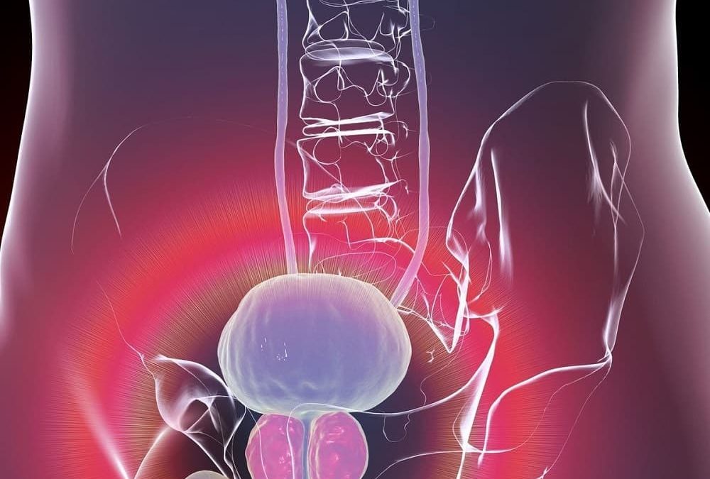Cancer de la prostate : quels sont les bons réflexes à avoir ?